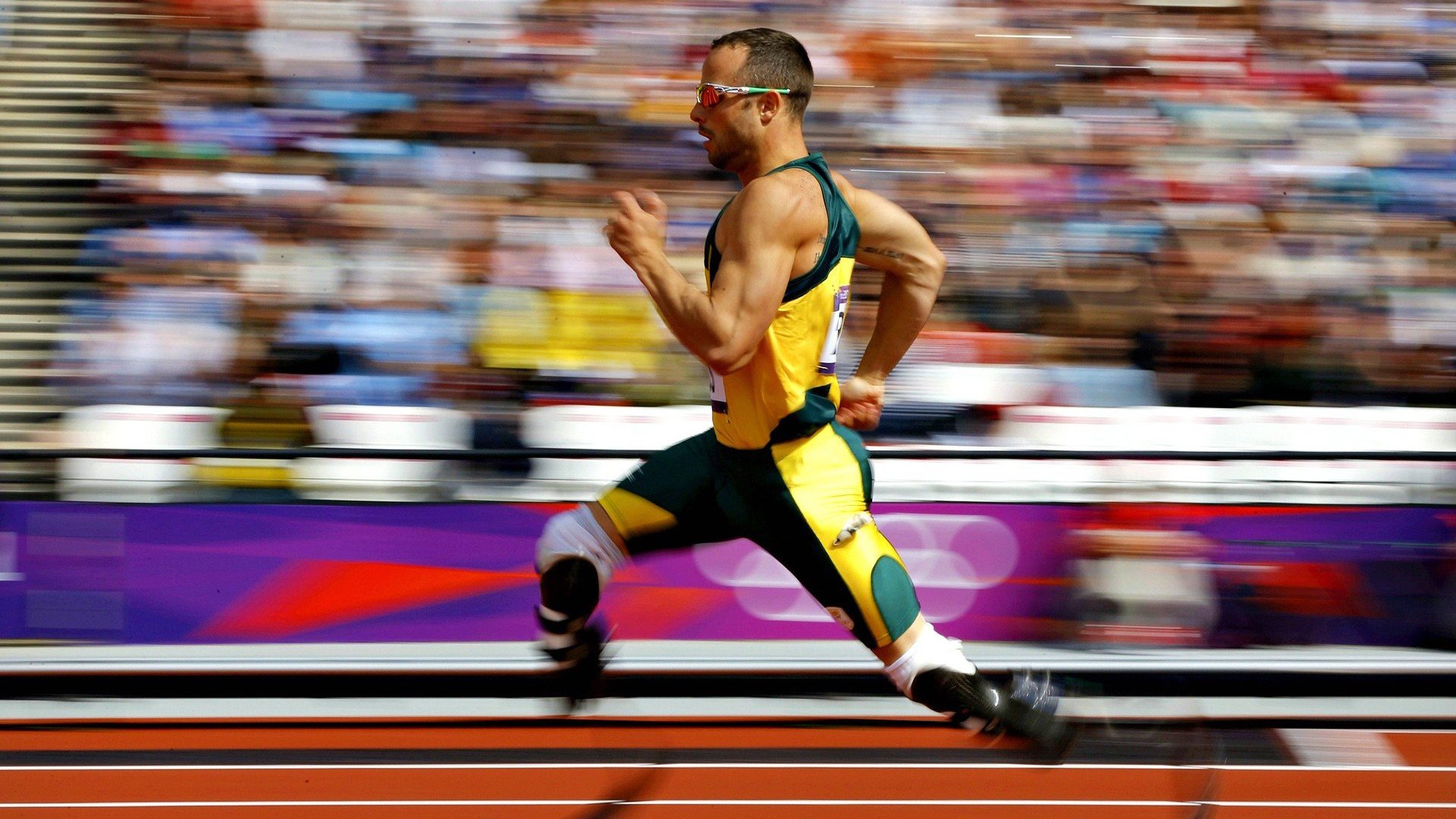 虚拟体育崛起,科技如何重塑未来竞技场