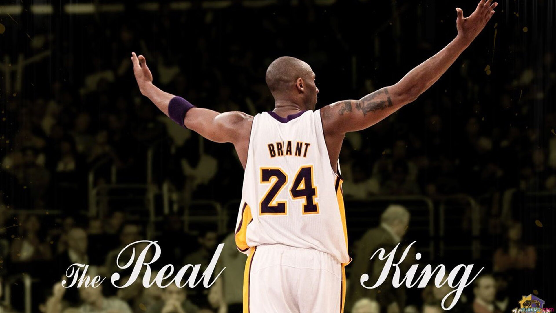 亚洲田径锦标赛落幕 中国军团斩获12金创历史最佳战绩